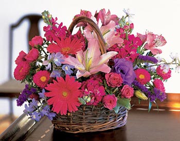 flowers ЦВЕТЫ ДОБРА И ЗЛА