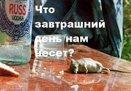 О том как работают программисты